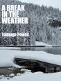 Break In The Weather - Preview