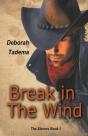 Break In The Wind - Preview