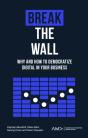 Break The Wall - Preview