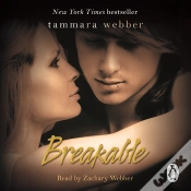 Capa do artigo Breakable