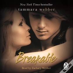 Capa do artigo Breakable