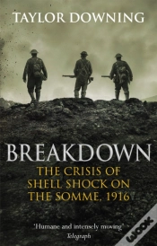 Capa do artigo Breakdown