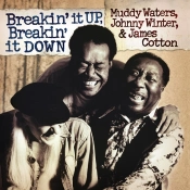 Capa do artigo Breakin