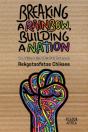 Breaking A Rainbow, Building A Nation - Preview