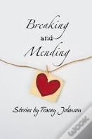 Breaking And Mending