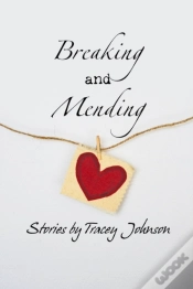 Capa do artigo Breaking And Mending