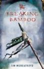 Breaking Bamboo - Preview