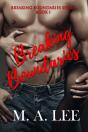 Breaking Boundaries - Preview