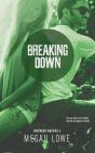 Breaking Down - Preview