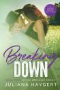 Breaking Down (Large Print) - Preview
