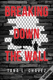 Breaking Down The Wall