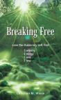 Breaking Free - Preview