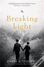 Capa do artigo Breaking Light
