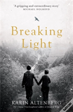 Capa do artigo Breaking Light