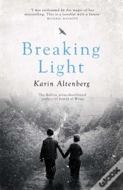 Capa do artigo Breaking Light