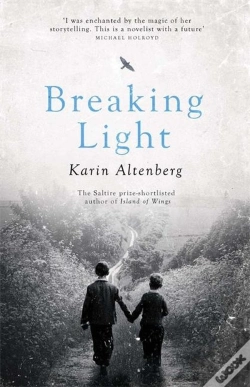 Capa do artigo Breaking Light