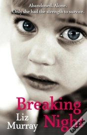 Capa do artigo Breaking Night