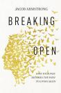 Breaking Open - Preview