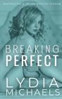 Breaking Perfect - Preview