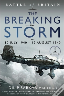 Capa do artigo Breaking Storm