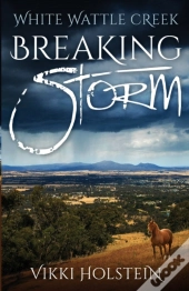 Breaking Storm