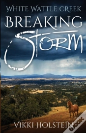 Capa do artigo Breaking Storm