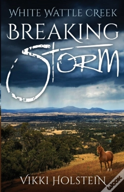 Capa do artigo Breaking Storm