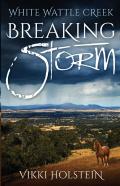 Breaking Storm
