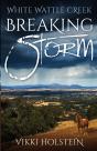 Breaking Storm - Preview