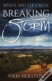 Capa do artigo Breaking Storm