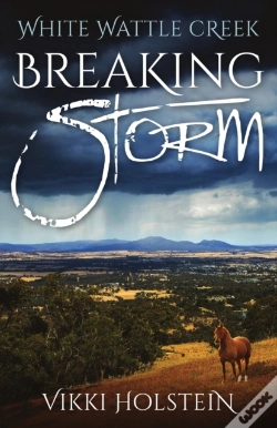 Capa do artigo Breaking Storm