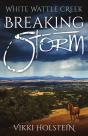 Breaking Storm - Preview