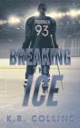 Breaking The Ice - Preview