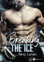 Breaking The Ice - Preview