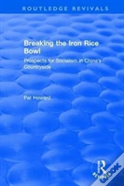 Capa do artigo Breaking The Iron Rice Bowl