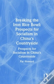 Capa do artigo Breaking The Iron Rice Bowl