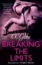 Breaking The Limits - Preview