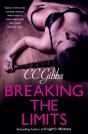Breaking The Limits - Preview