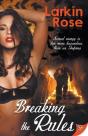 Breaking The Rules - Preview