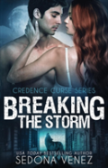 Breaking The Storm