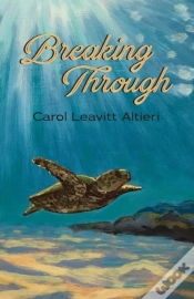 Capa do artigo Breaking Through