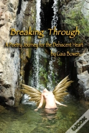 Capa do artigo Breaking Through