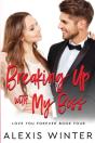 Breaking Up With My Boss - Preview