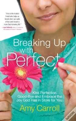 Capa do artigo Breaking Up With Perfect