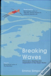 Capa do artigo Breaking Waves