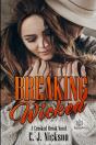 Breaking Wicked - Preview