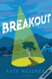 Capa do artigo Breakout