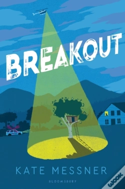 Capa do artigo Breakout