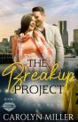Breakup Project - Preview