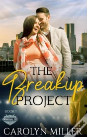 Capa do artigo Breakup Project